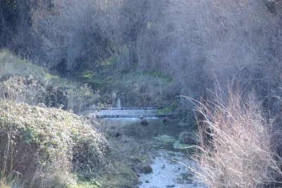 DSC_1074 (Large).JPG